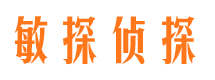 北海市侦探调查公司